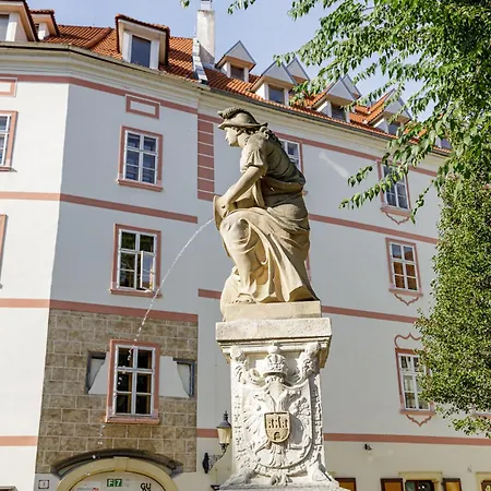 Apartment Prima - Spacious In The Main Square With Large Living